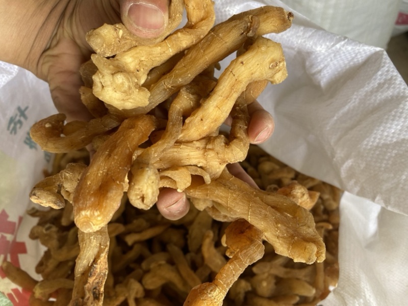 鸡头黄精无硫，可泡酒