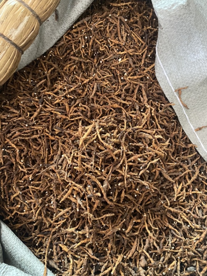 水洗九节菖蒲无土，无沙石
