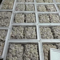 5斤一袋荔浦芋头块广西直发芋泥原料包粉包糯批发零售