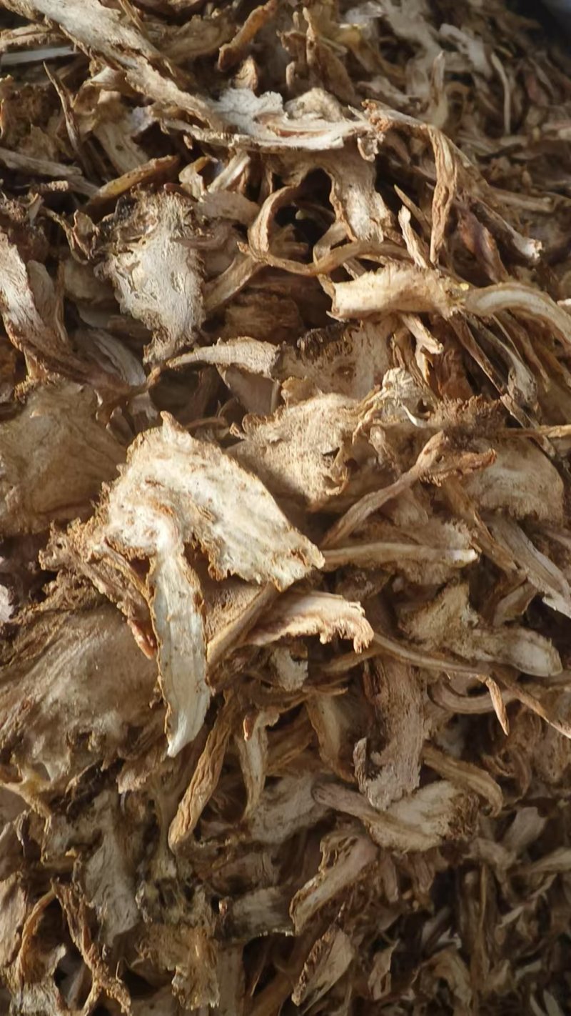 甘肃岷县当归，产地直供大量有货，质量保证欢迎咨询