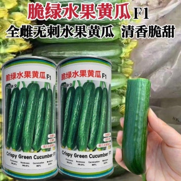 脆绿荷兰水果黄瓜种子全雌小黄瓜种子光滑无刺清香脆甜
