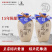 绍兴黄酒正宗圣塔十五年陈花雕酒半干型糯米酒500ml*