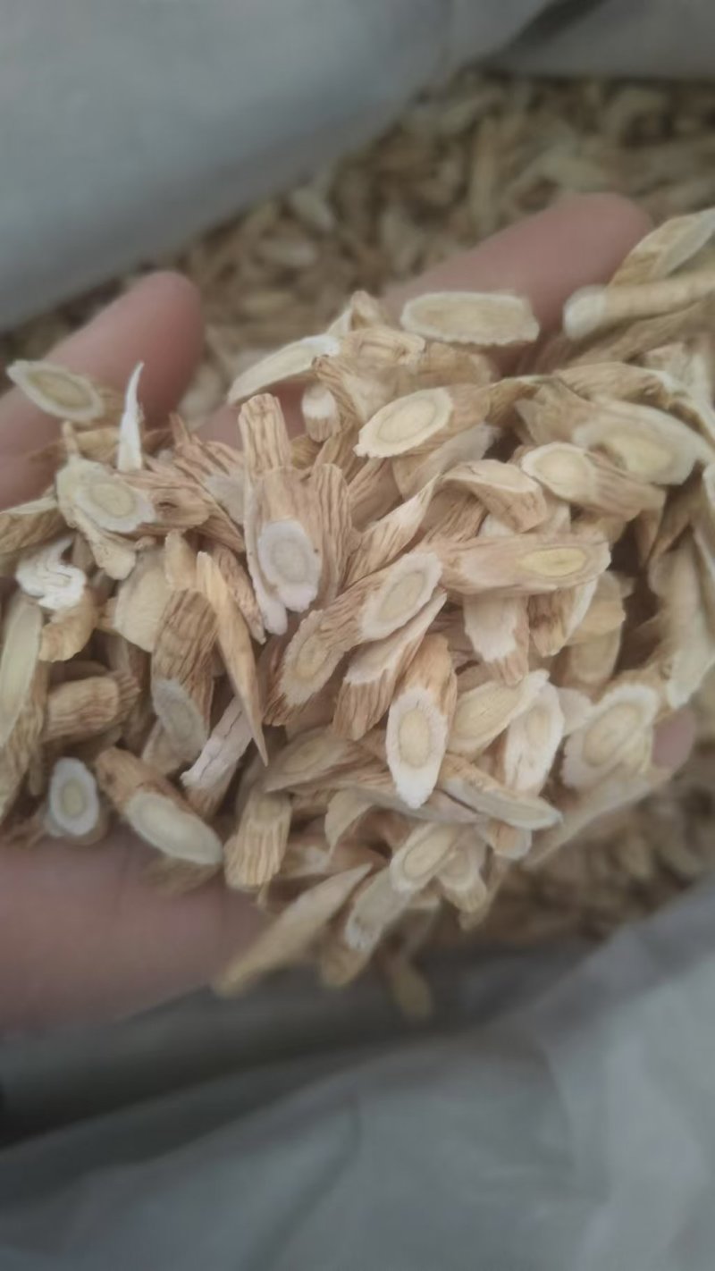 甘肃黄芪.新鲜切片.自然晾干.豆香味浓郁.无硫全干黄芪。