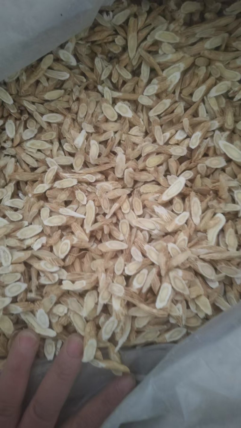 甘肃黄芪.新鲜切片.自然晾干.豆香味浓郁.无硫全干黄芪。