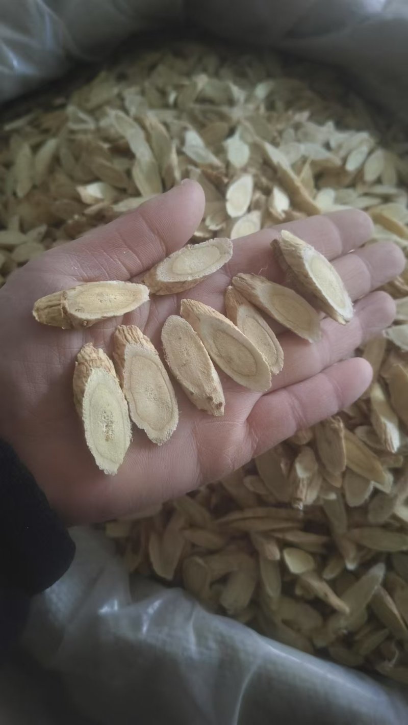 甘肃黄芪.新鲜切片.自然晾干.豆香味浓郁.无硫全干黄芪。