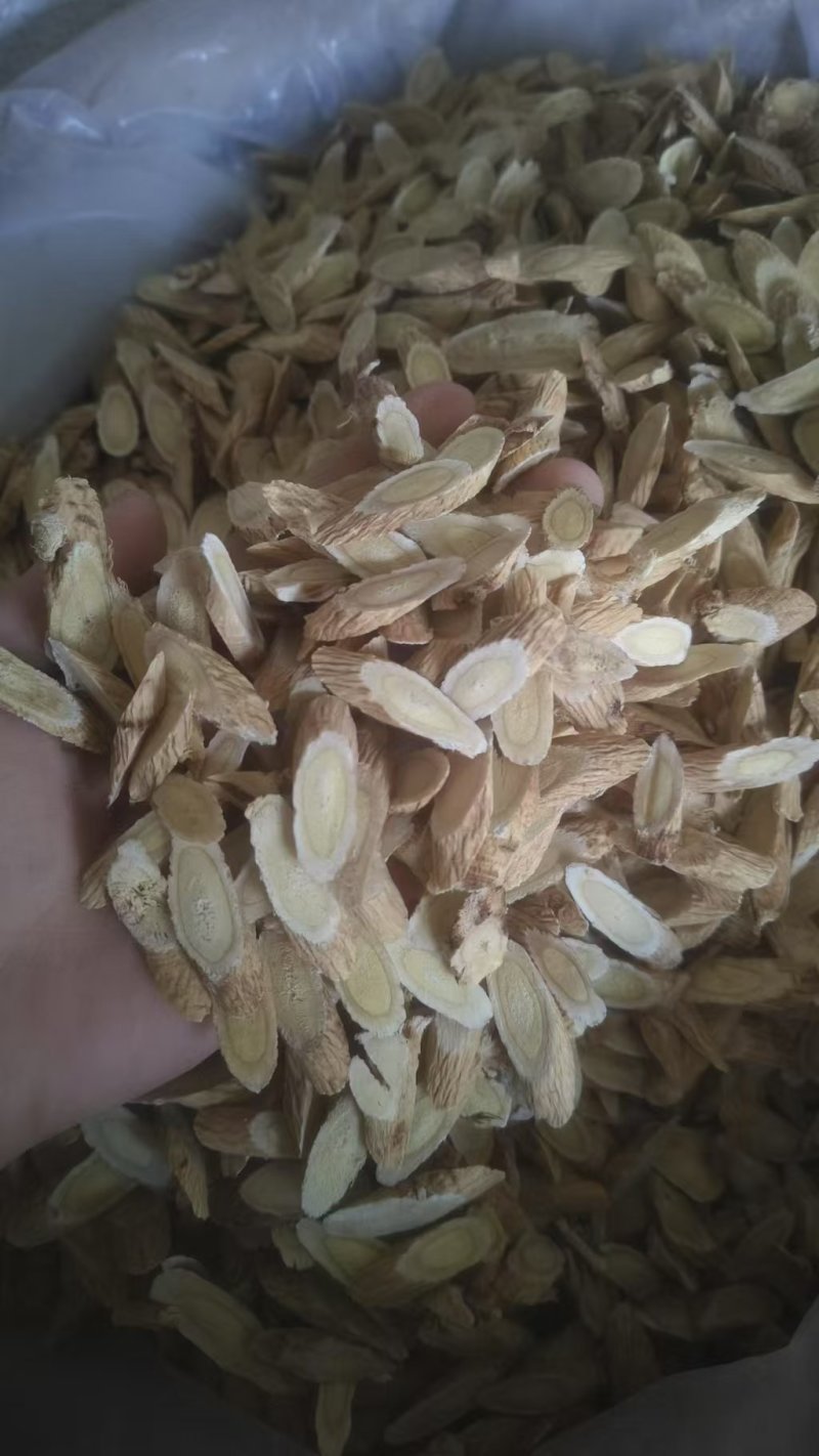 甘肃黄芪.新鲜切片.自然晾干.豆香味浓郁.无硫全干黄芪。