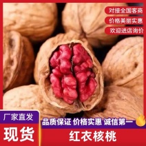 优选红衣核桃新货，电商专用一手货源整吨整车批发保质量