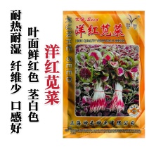 洋红苋菜种子鲜红圆叶苋菜种子早熟耐热耐湿高产春夏秋