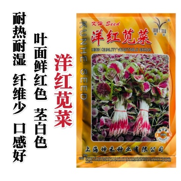 洋红苋菜种子鲜红圆叶苋菜种子早熟耐热耐湿高产春夏秋