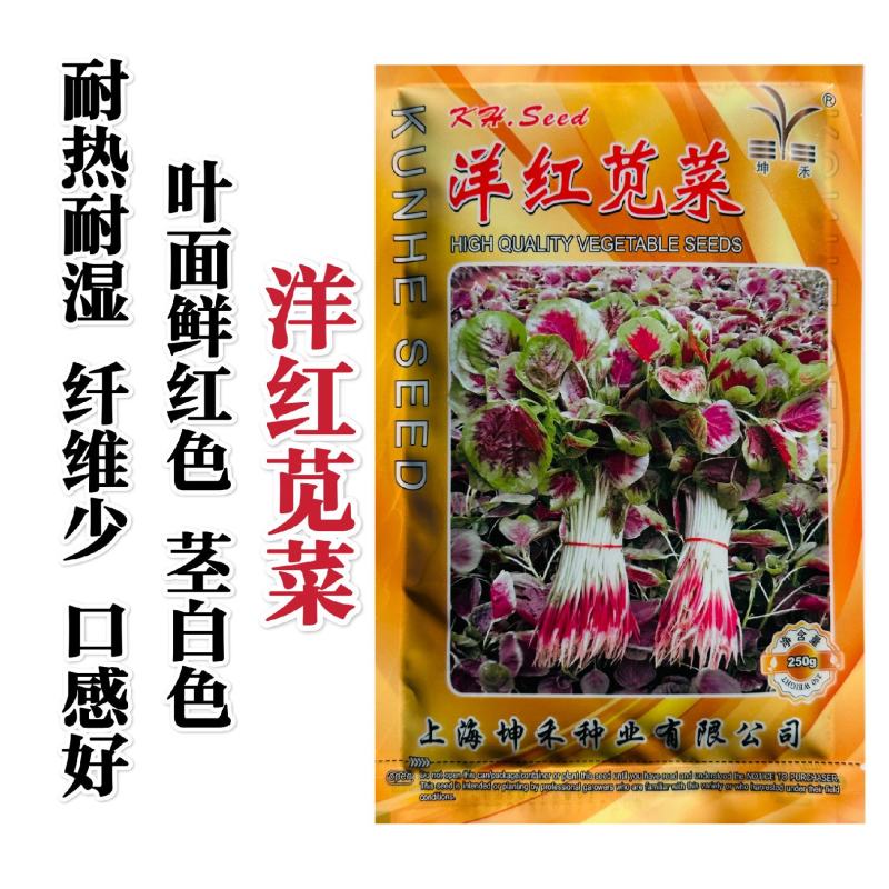 洋红苋菜种子鲜红圆叶苋菜种子早熟耐热耐湿高产春夏秋