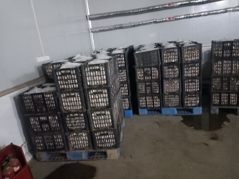 新鲜山药切片2-3公分铁杆厚度可调专业定制工厂直定