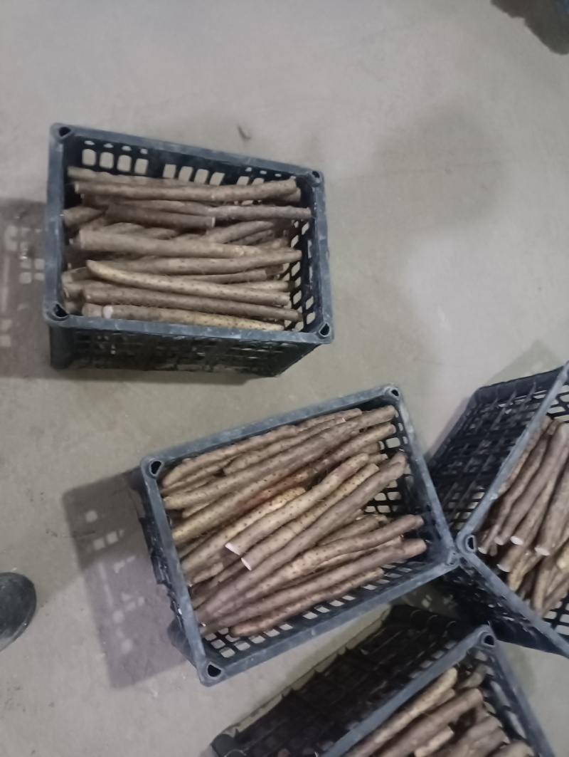 新鲜山药切片2-3公分铁杆厚度可调专业定制工厂直定