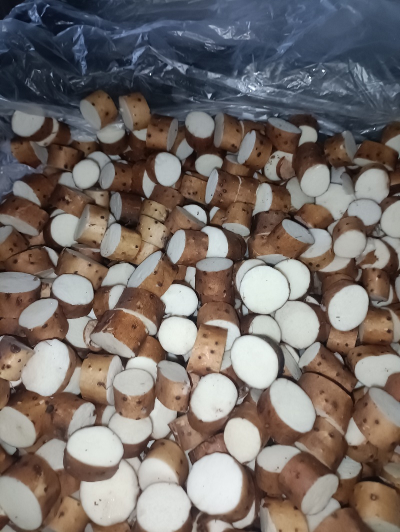 新鲜山药切片2-3公分铁杆厚度可调专业定制工厂直定