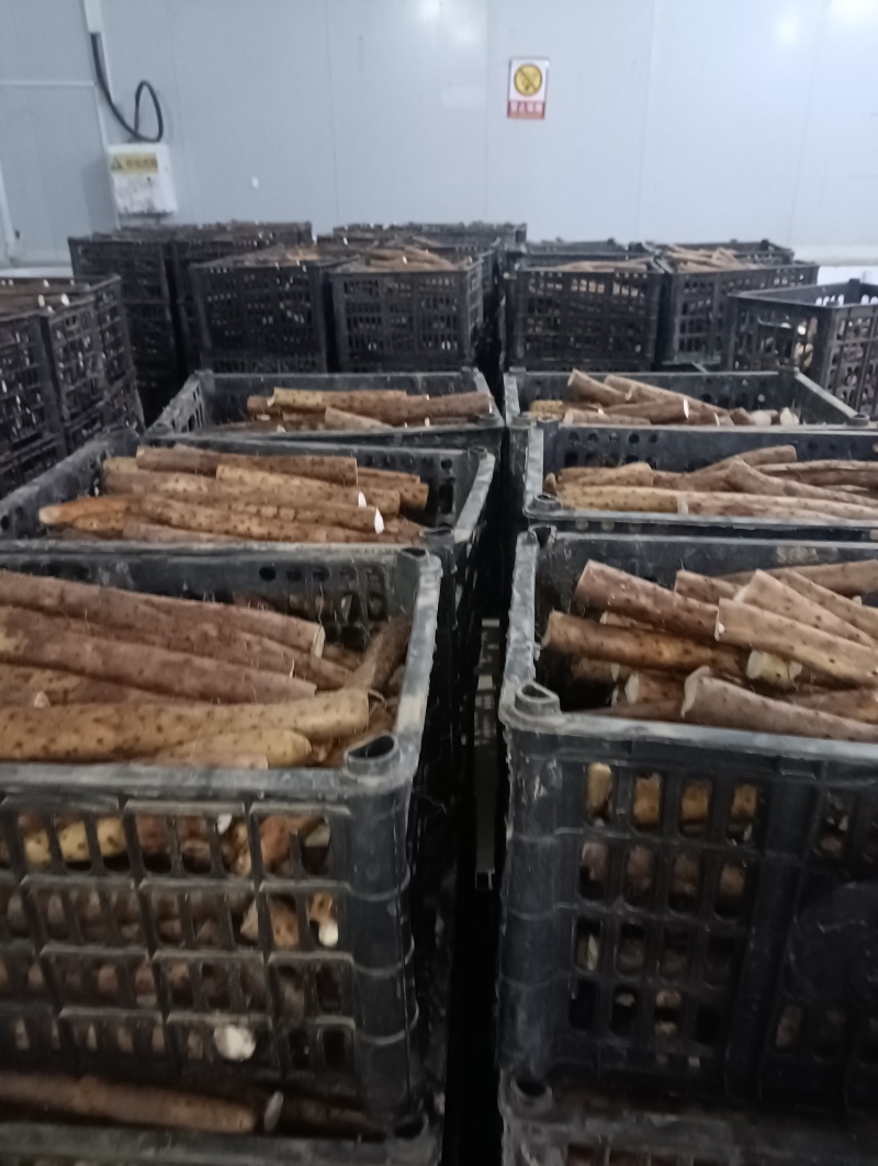 新鲜山药切片2-3公分铁杆厚度可调专业定制工厂直定