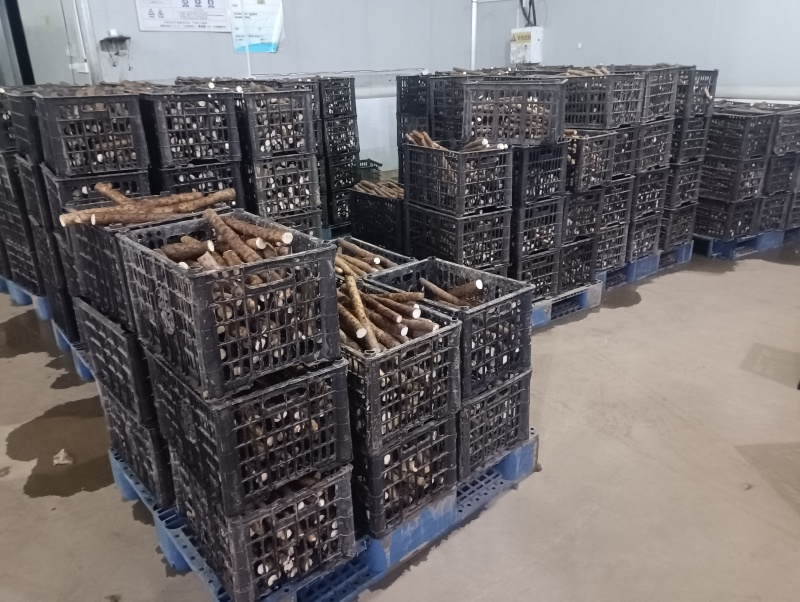 新鲜山药切片2-3公分铁杆厚度可调专业定制工厂直定
