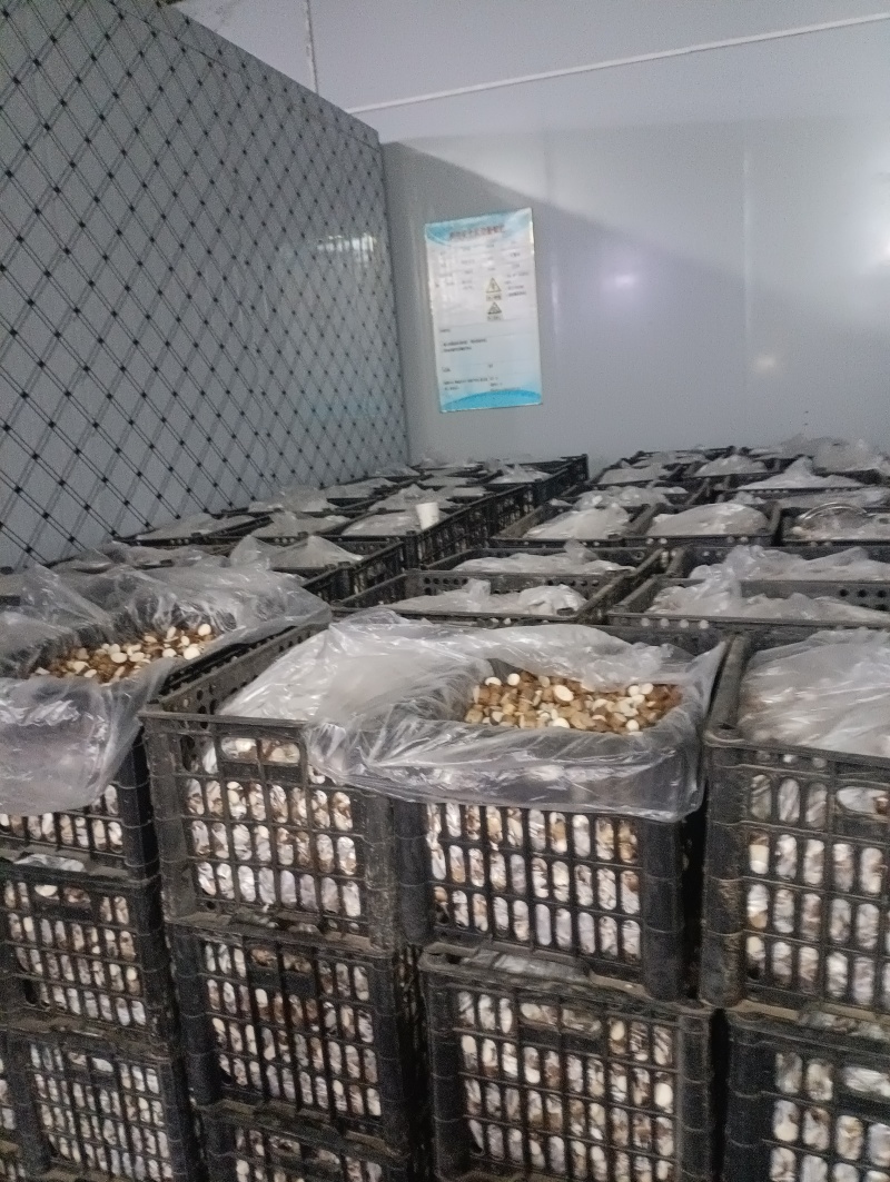 新鲜山药切片2-3公分铁杆厚度可调专业定制工厂直定