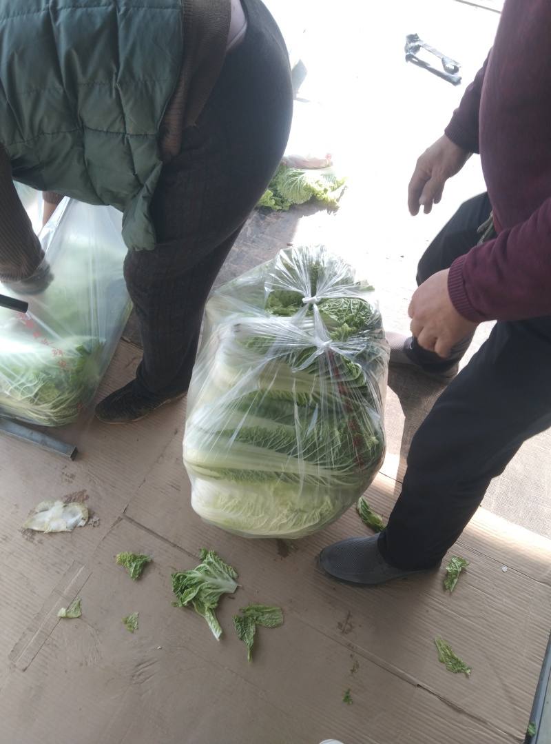 山东泗水北京三号