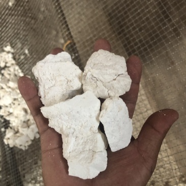云南白茯苓纯白块无硫晒干***