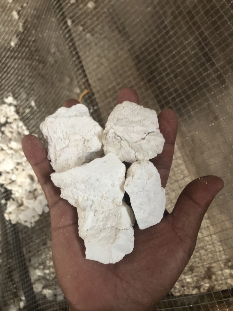 云南白茯苓纯白块无硫晒干***