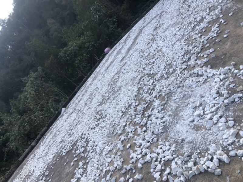 云南白茯苓纯白块无硫晒干***