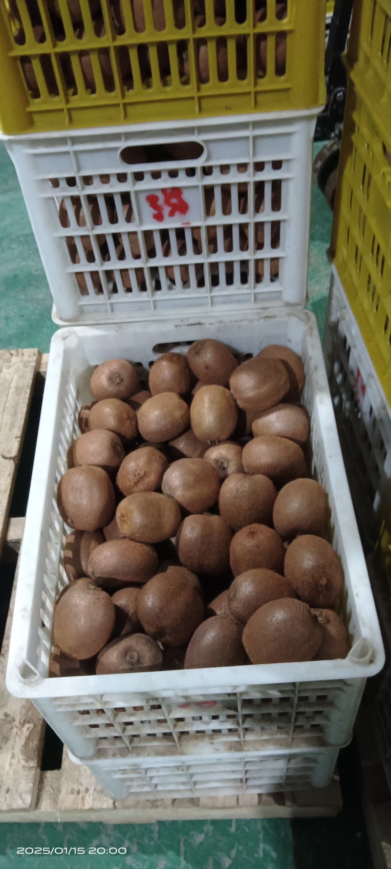 瑞玉猕猴桃，质量三包，一件代发大量供应中，合作共赢