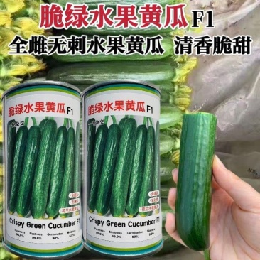 脆绿水果黄瓜种子荷兰水果黄瓜种子全雌型光滑无刺清香脆甜