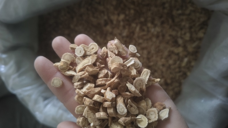 纯净无杂质黄芪长期稳定供应直接从产地发货