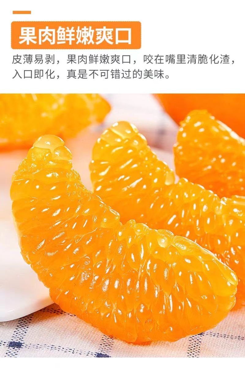 春见耙耙柑次果对接榨汁罐头厂家量大价优欢迎致电咨询