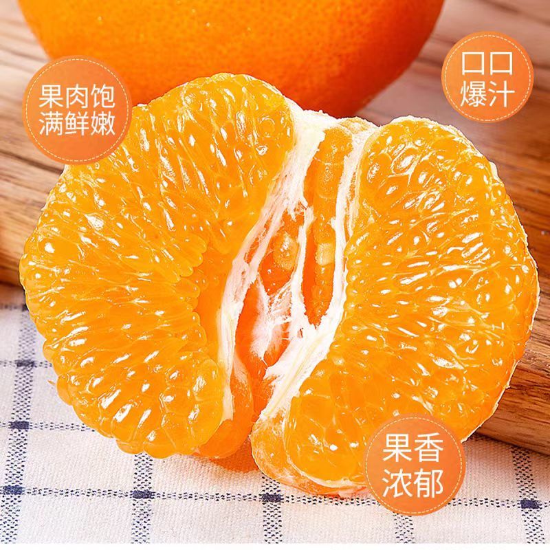 春见耙耙柑次果对接榨汁罐头厂家量大价优欢迎致电咨询
