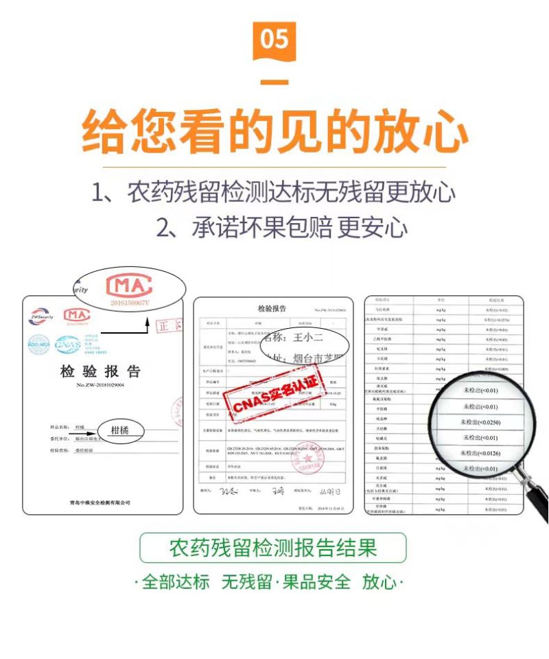 春见耙耙柑次果对接榨汁罐头厂家量大价优欢迎致电咨询