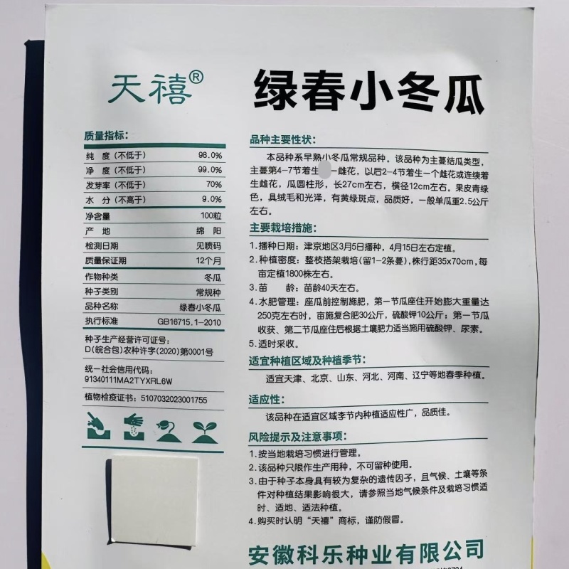 早绿小冬瓜种子绿春小冬瓜种子迷你毛瓜冬瓜种籽春季播种