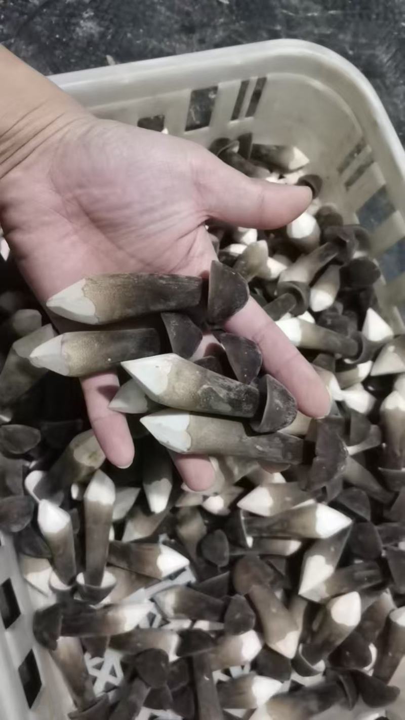基地直供，货品保证，鲜甜可口，鲜品现货现发
