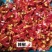 【酸豆角炒肉末】松茸肉沫搭上农家自泡酸豆角又酸又脆很开胃