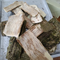 天然野老树皮结沉香