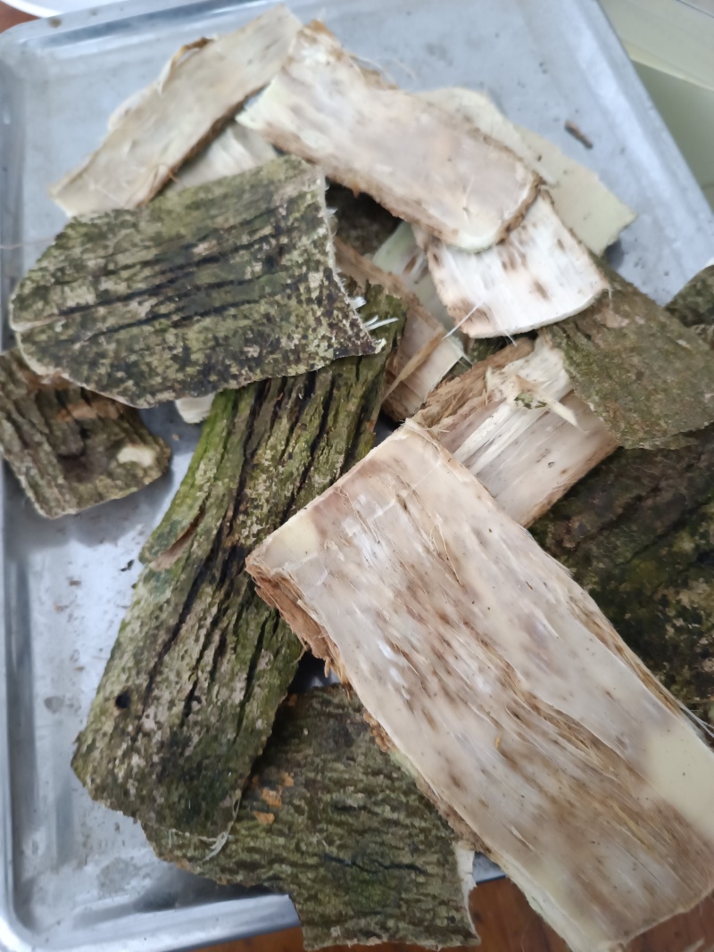 天然野老树皮结沉香