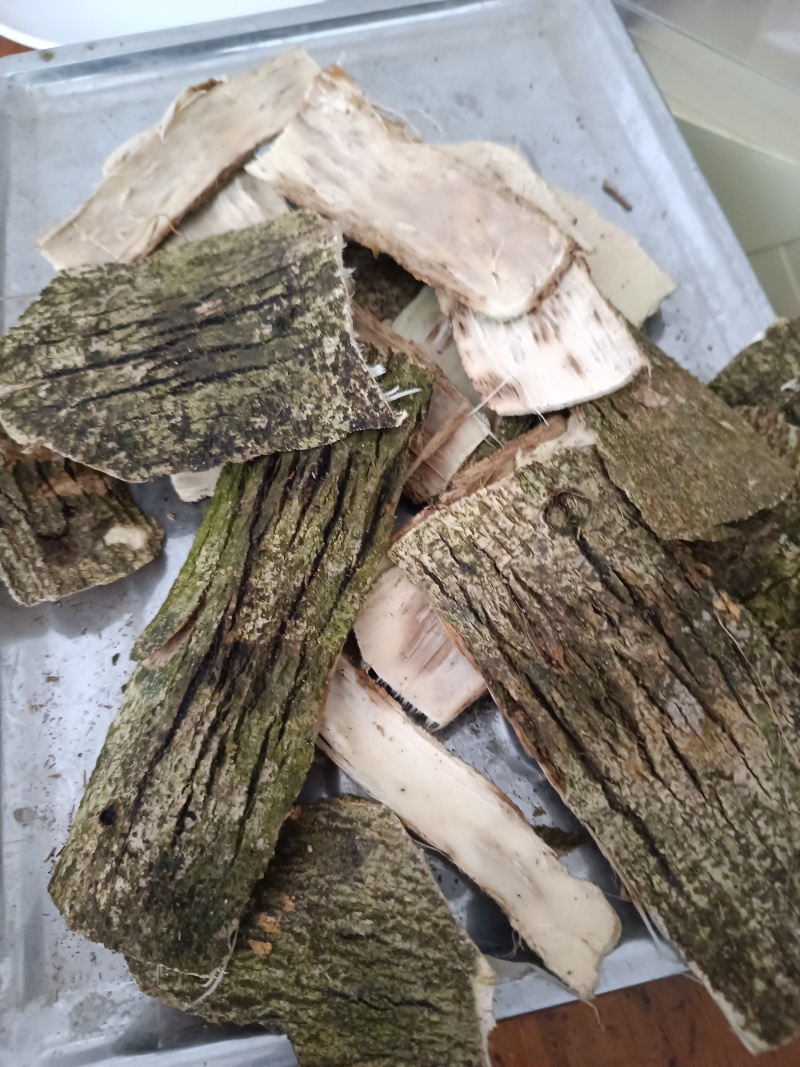 天然野老树皮结沉香