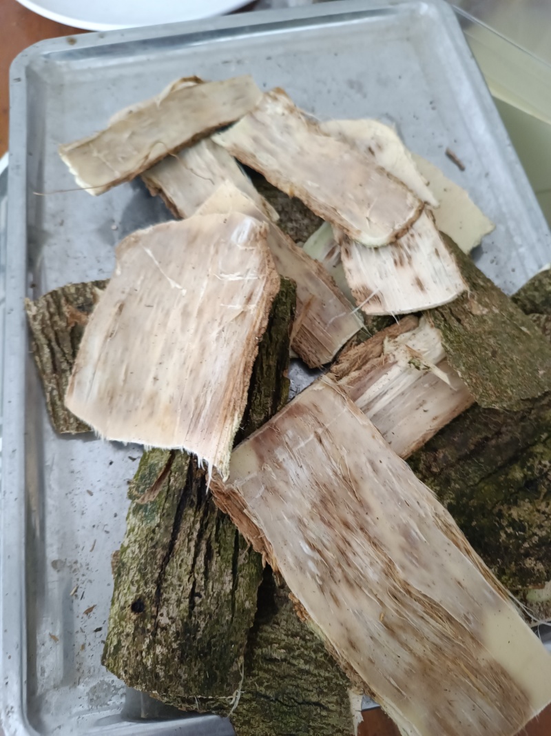 天然野老树皮结沉香