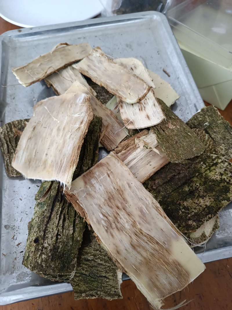 天然野老树皮结沉香