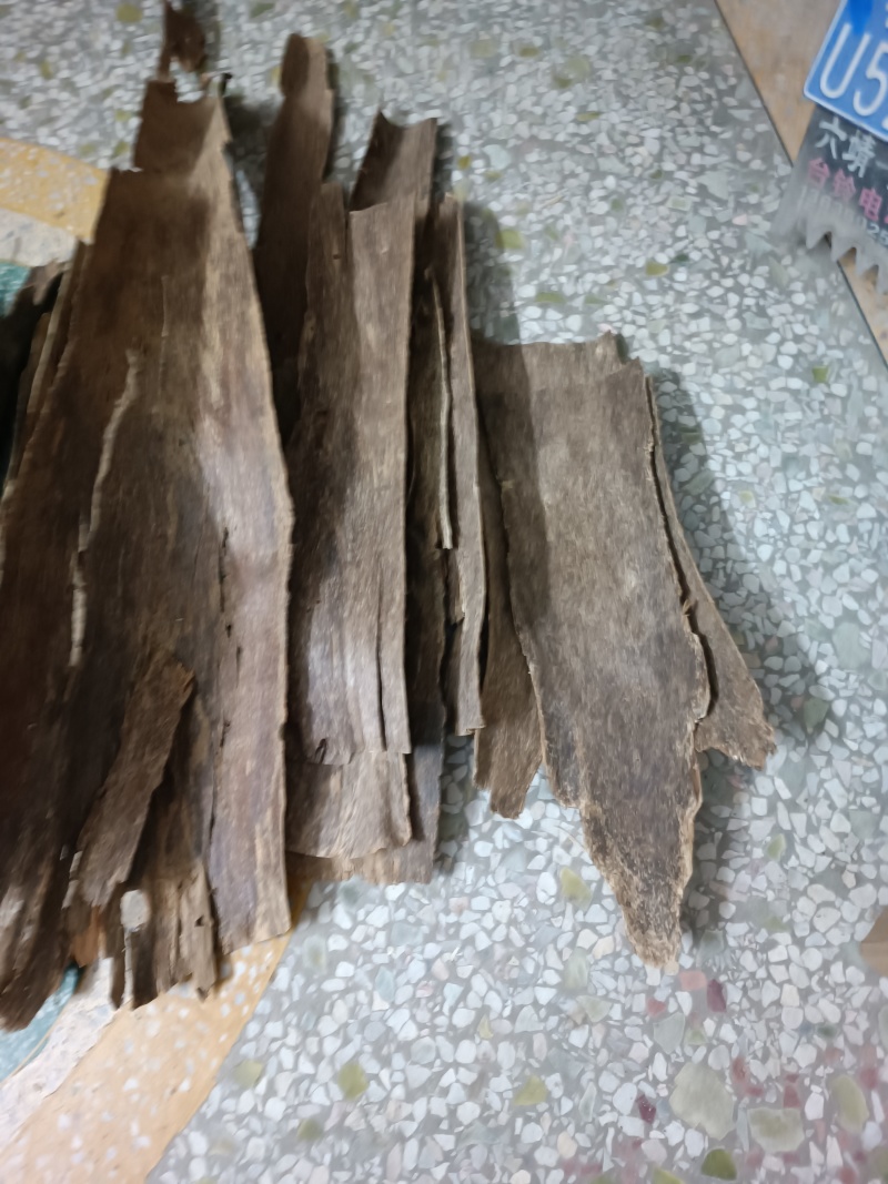 天然野广西老树皮沉香