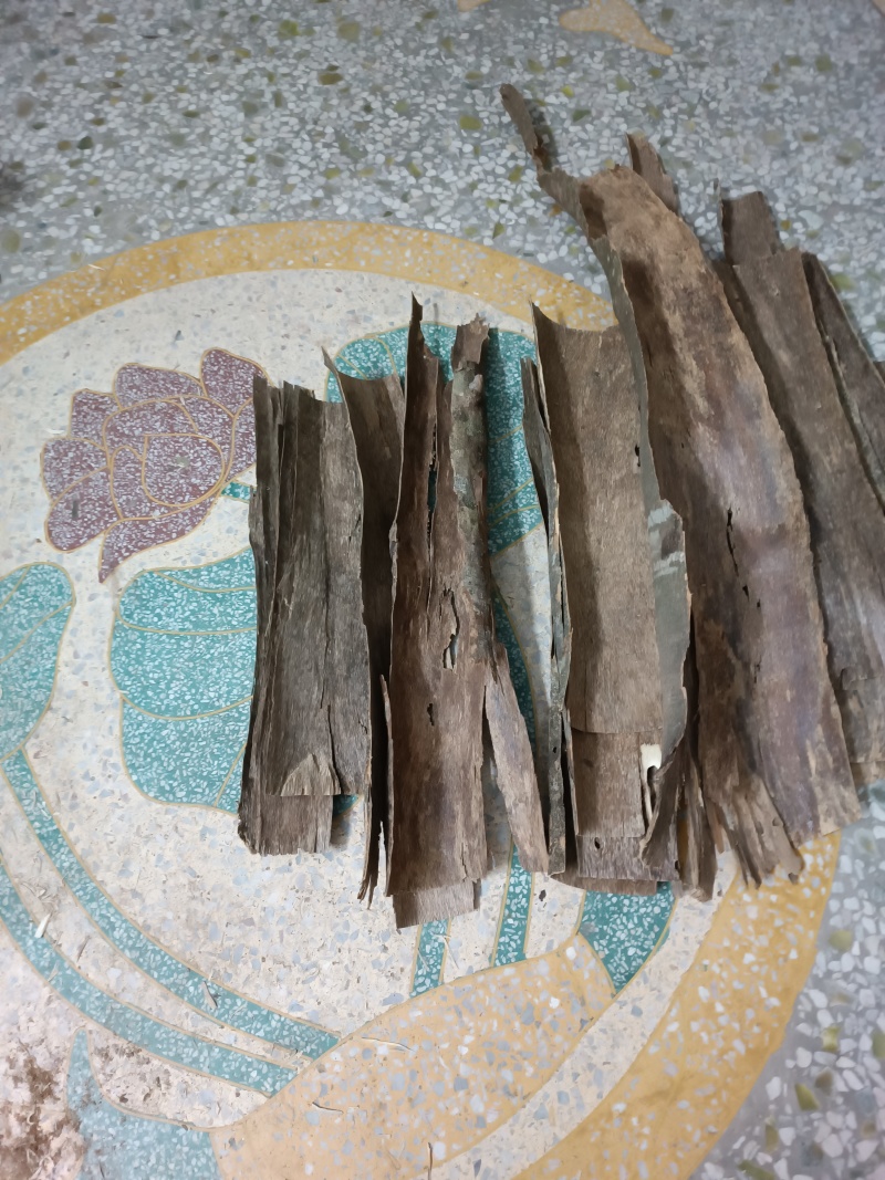 天然野广西老树皮沉香