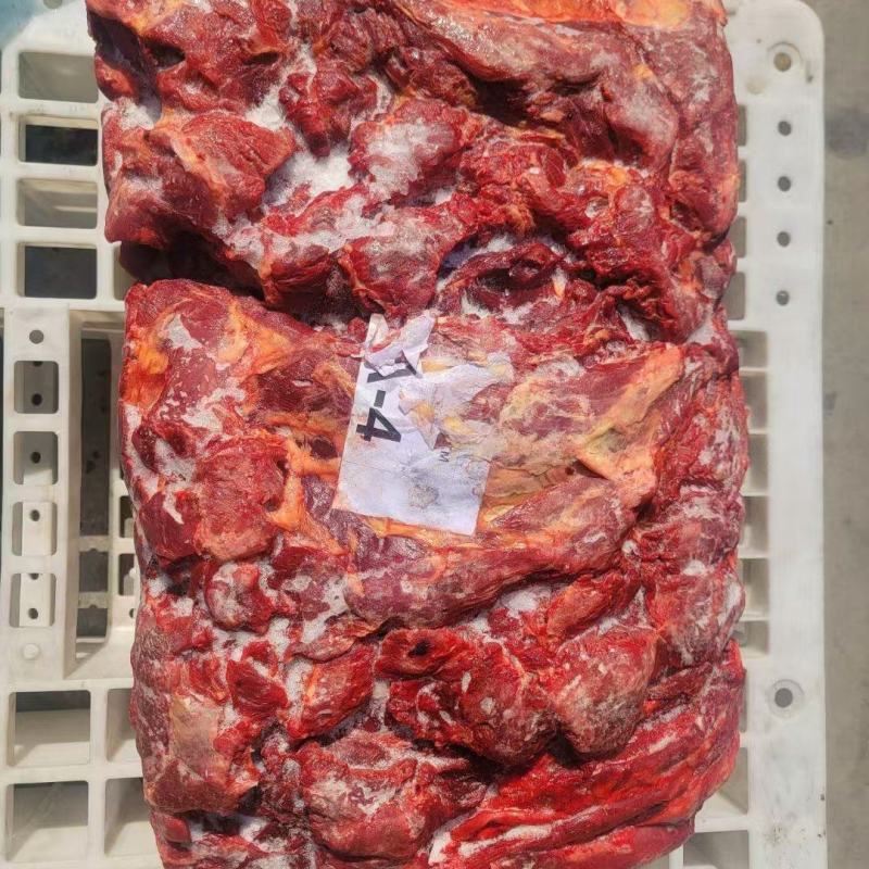 蒙古马肉，亿蒙康蒙古马肉，活马吊宰，区分老口小口