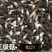 黑鸡枞鲜品基地自种，全年有货，现货现发欢迎咨询