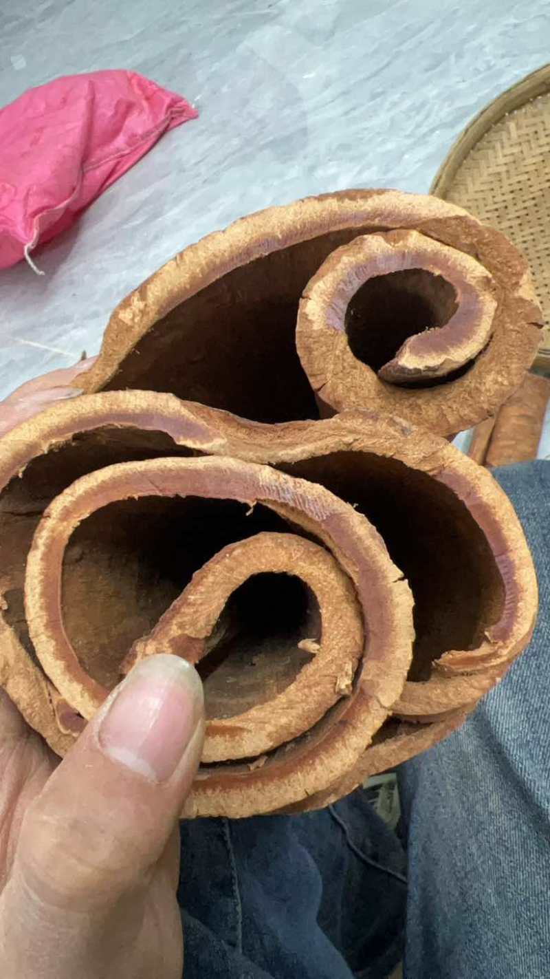 广西百年油桂，超厚的紫油桂，味道非常浓郁，上品中药厚度1厘米