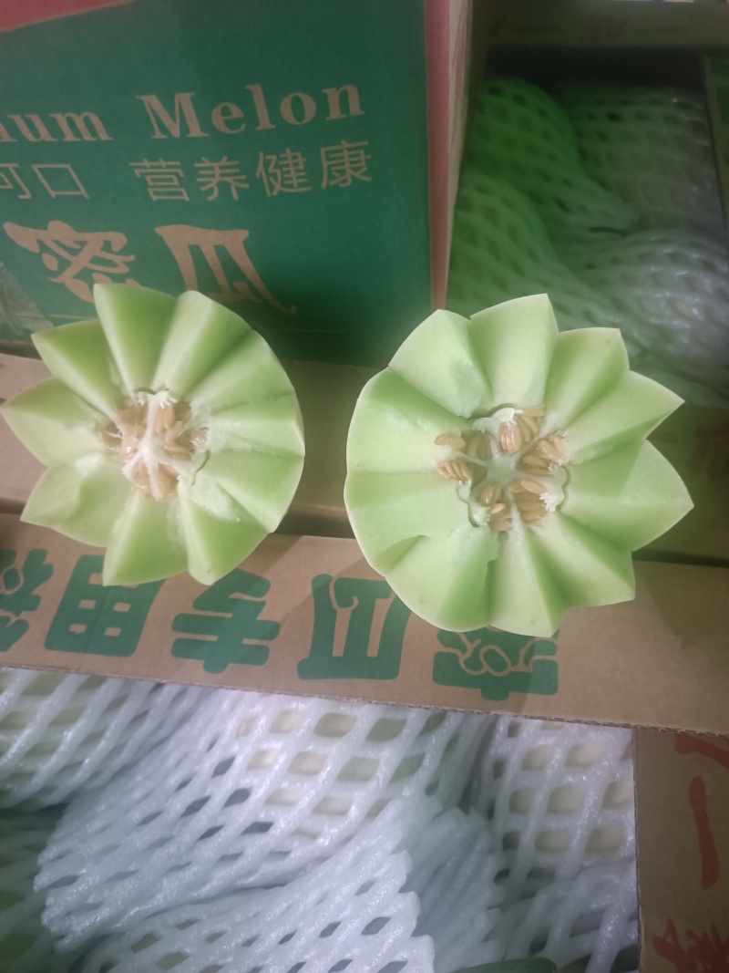 海南玉菇甜瓜