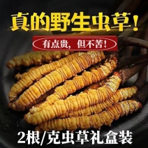 正宗冬虫夏草西藏那曲干虫草正品2根一克虫草礼盒高档礼品送礼