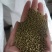 包衣白三叶种子白车轴草种籽绿化草籽种草籽果园草种四季种子