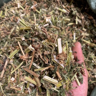 野生益母草，全草干货，量大价格优惠，可长期供货，欢迎咨询