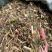 野生益母草，全草干货，量大价格优惠，可长期供货，欢迎咨询