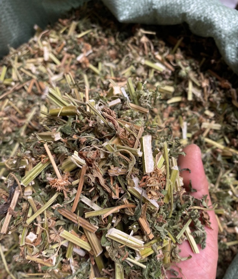 野生益母草，全草干货，量大价格优惠，可长期供货，欢迎咨询