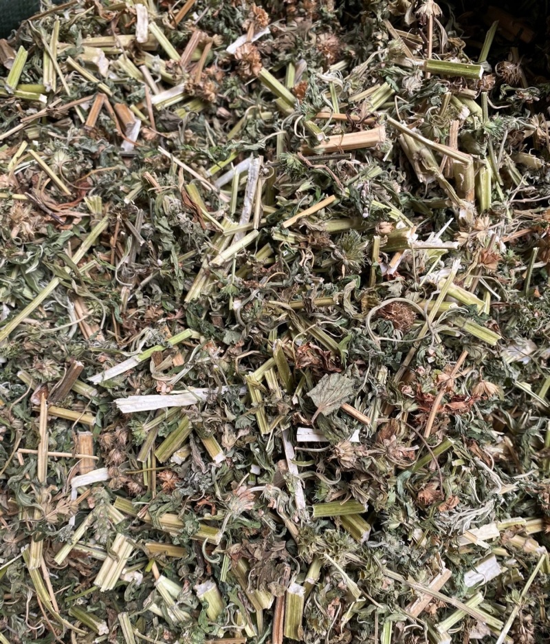 野生益母草，全草干货，量大价格优惠，可长期供货，欢迎咨询